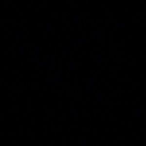 Meet your Posher, Alisa